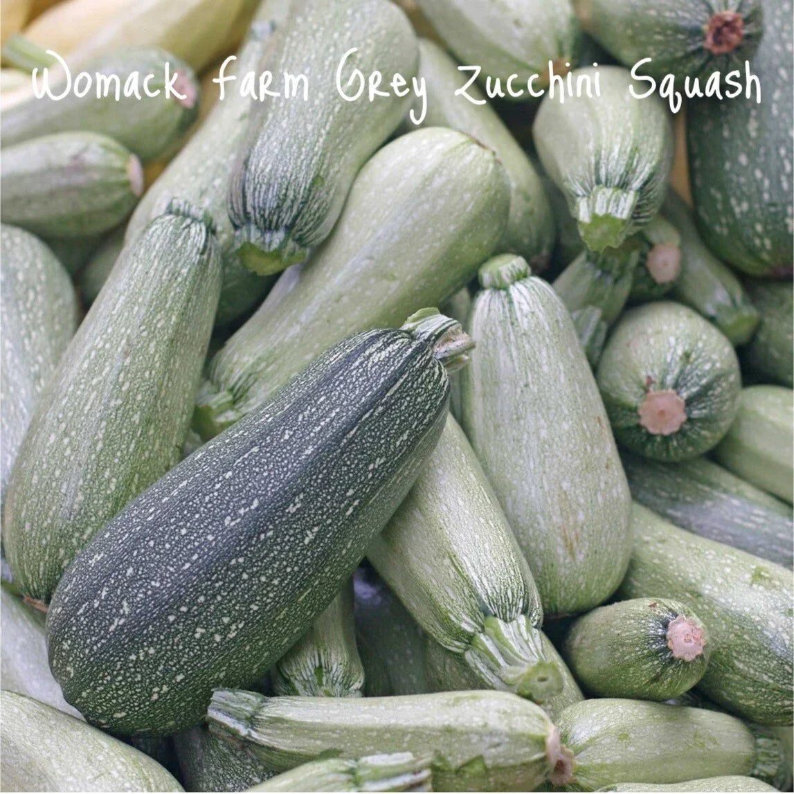 Organic Grey Zucchini Seeds, 25+ Non-GMO Seeds, Cucurbita pepo - Ideal for Home Gardening and Container Growing