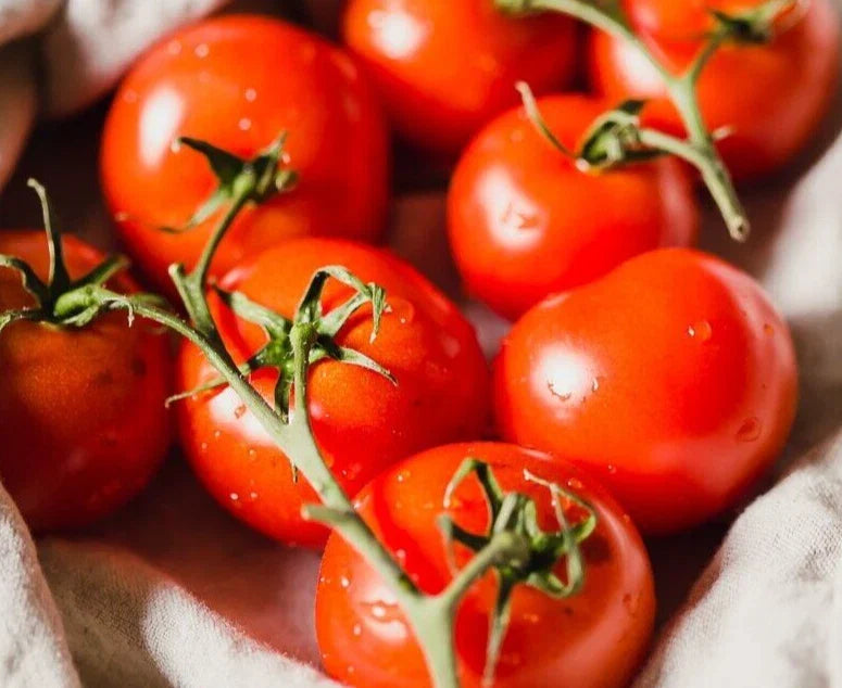 Sweet Campari Tomato Seeds - 25 Pack - Non-GMO, High-Yielding Variety - Solanum lycopersicum for Home Gardening