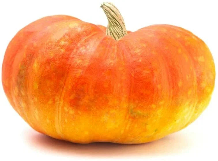 Cinderella Pumpkin Seeds 20 Pack - Heirloom Variety for Planting, Cucurbita pepo, Unique Shape, Vibrant Orange Color