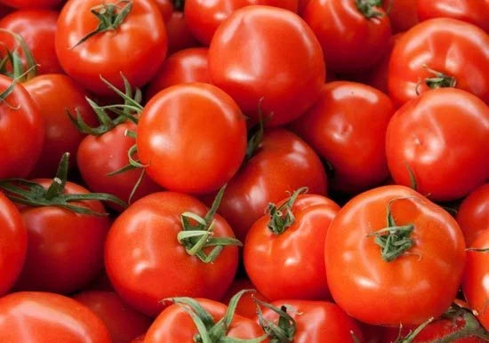 Early Girl Hybrid Tomato Seeds - 15 Pack - Bush Type - Solanum lycopersicum - Compact & High Yield for Small Spaces