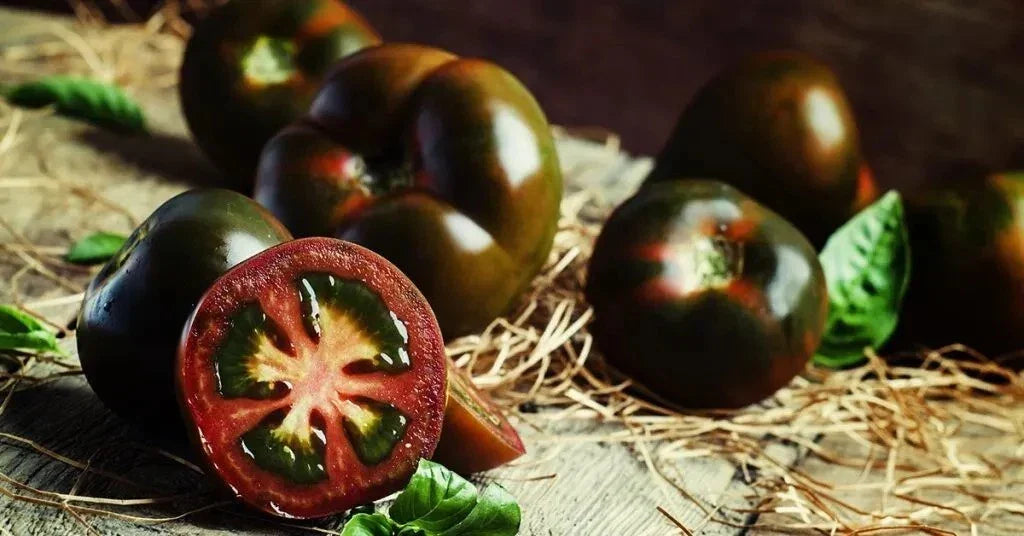 Black Truffle Tomato Seeds - 30+ Organic Heirloom Non-GMO - Solanum lycopersicum - Early Variety for Home Gardening