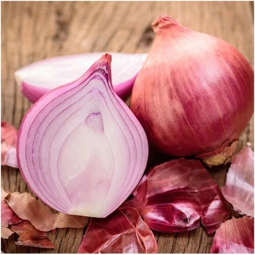 Ruby Red Onion Seeds - Heirloom Non-GMO - Allium cepa - Garden Seeds for Culinary Use - 100 Seeds per Pack