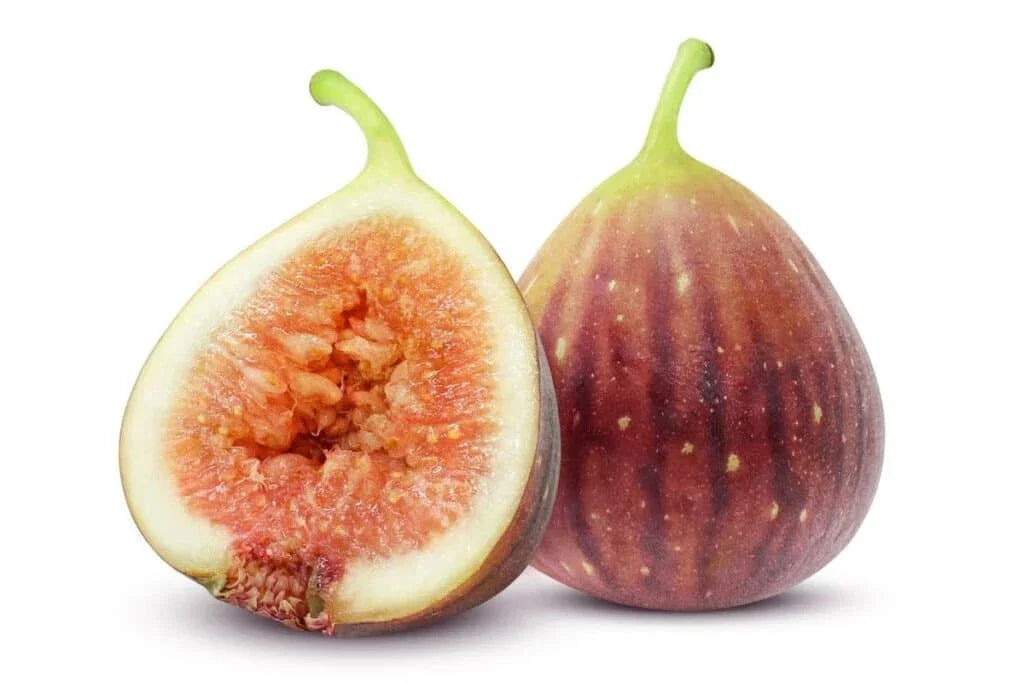 Smyrna Fig Seeds 100+ Pack Ficus carica Non-GMO USA Grown for Home Gardening and Orchards