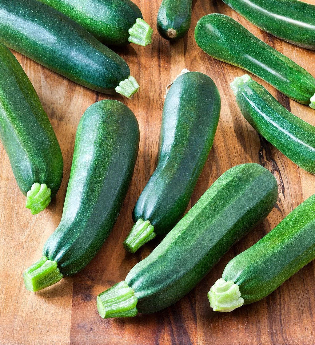 Zucchini Seeds - 50+ Organic Black Beauty Heirloom Non-GMO | Cucurbita pepo