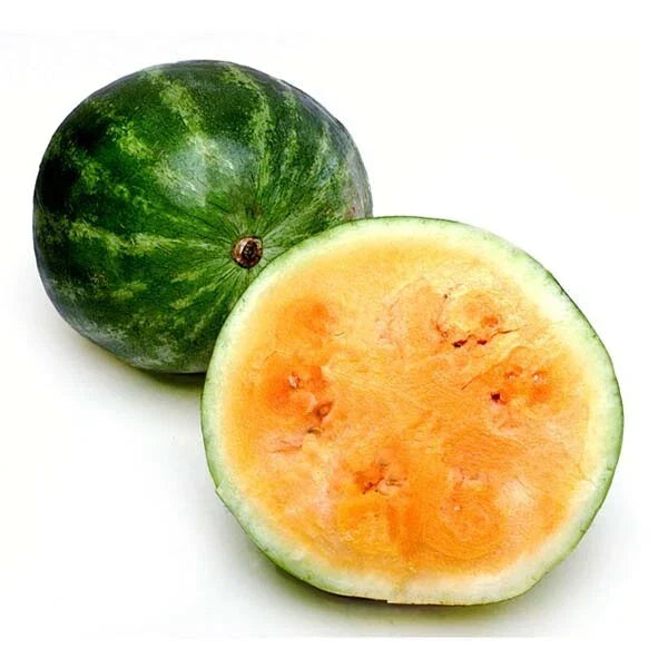Tendersweet Orange Watermelon Seeds - 20+ Seeds - Citrullus lanatus - Sweet Orange-Fleshed Fruit for Home Gardens