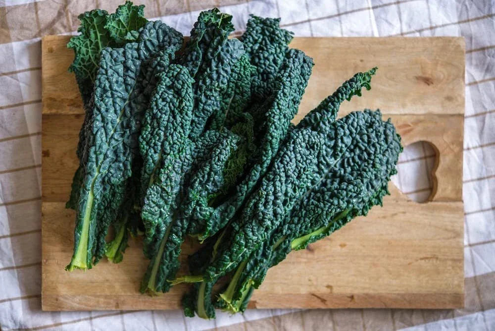 Black Magic Kale Seeds (200 Seeds) - Dark Green Heirloom Variety, Brassica oleracea var. sabellica for Planting