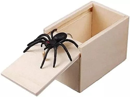 Spider Prank Box - 6 x 4 inches - Realistic Spider Toy - Gag Gift for All Ages - Fun Prank Surprise