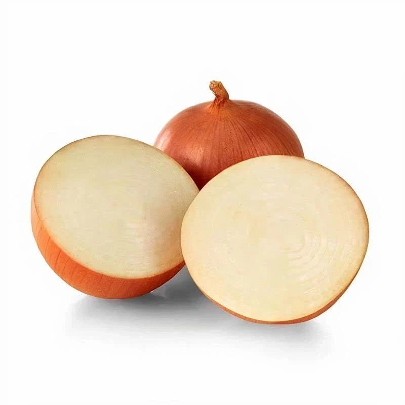 Onion Seeds for Planting - 100 Seeds - Catskill Variety - Allium cepa - Sweet Flavor - Ideal for Cold Climates