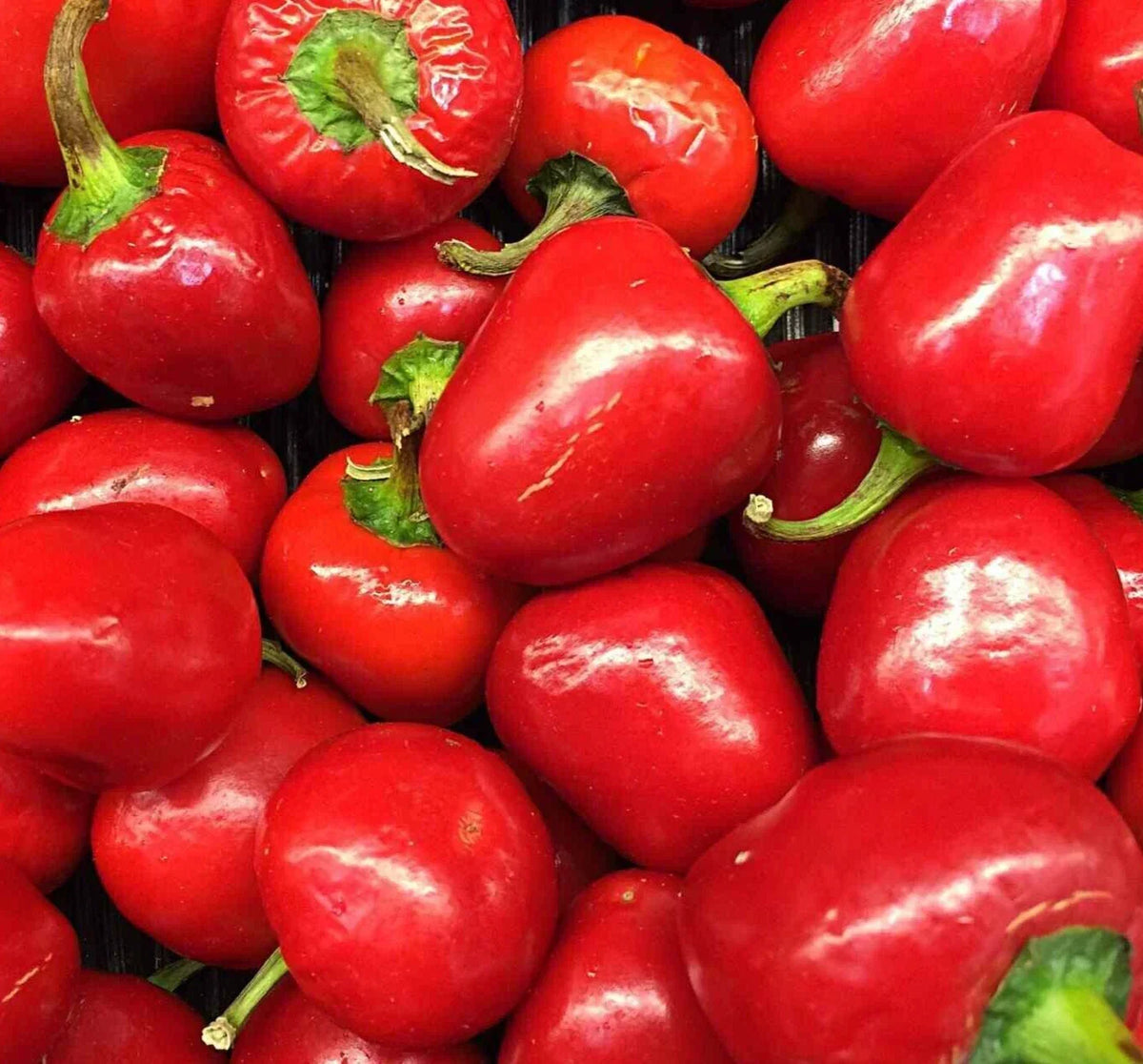Pimento Pepper Seeds - 50+ Sweet Variety for Garden Planting, Capsicum annuum, Ideal for Pickling and Culinary Use
