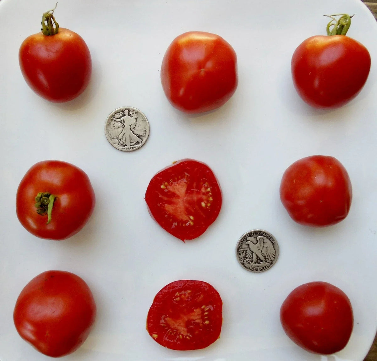 Stupice Tomato Seeds - 25 Fresh Seeds - Early Maturing Heirloom - Solanum lycopersicum - Perfect for Containers and Small Spaces
