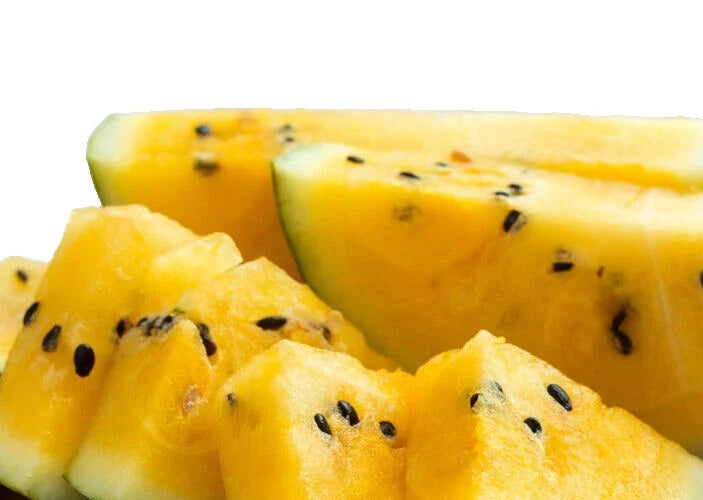 Watermelon Seeds - 8 Seeds - Moon and Stars Yellow Flesh - Citrullus lanatus - Unique Star-Patterned Rind