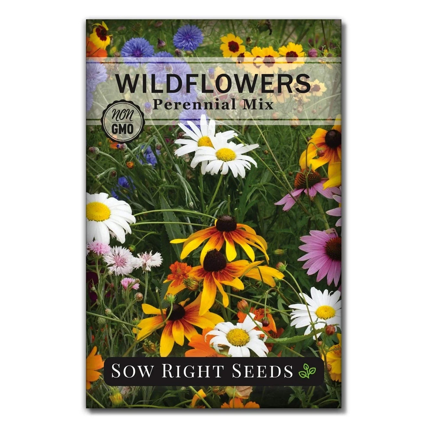 Perennial Wildflower Seeds Mix Packet - Non-GMO Heirloom - Attracts Pollinators - Various Species for Natural Gardens
