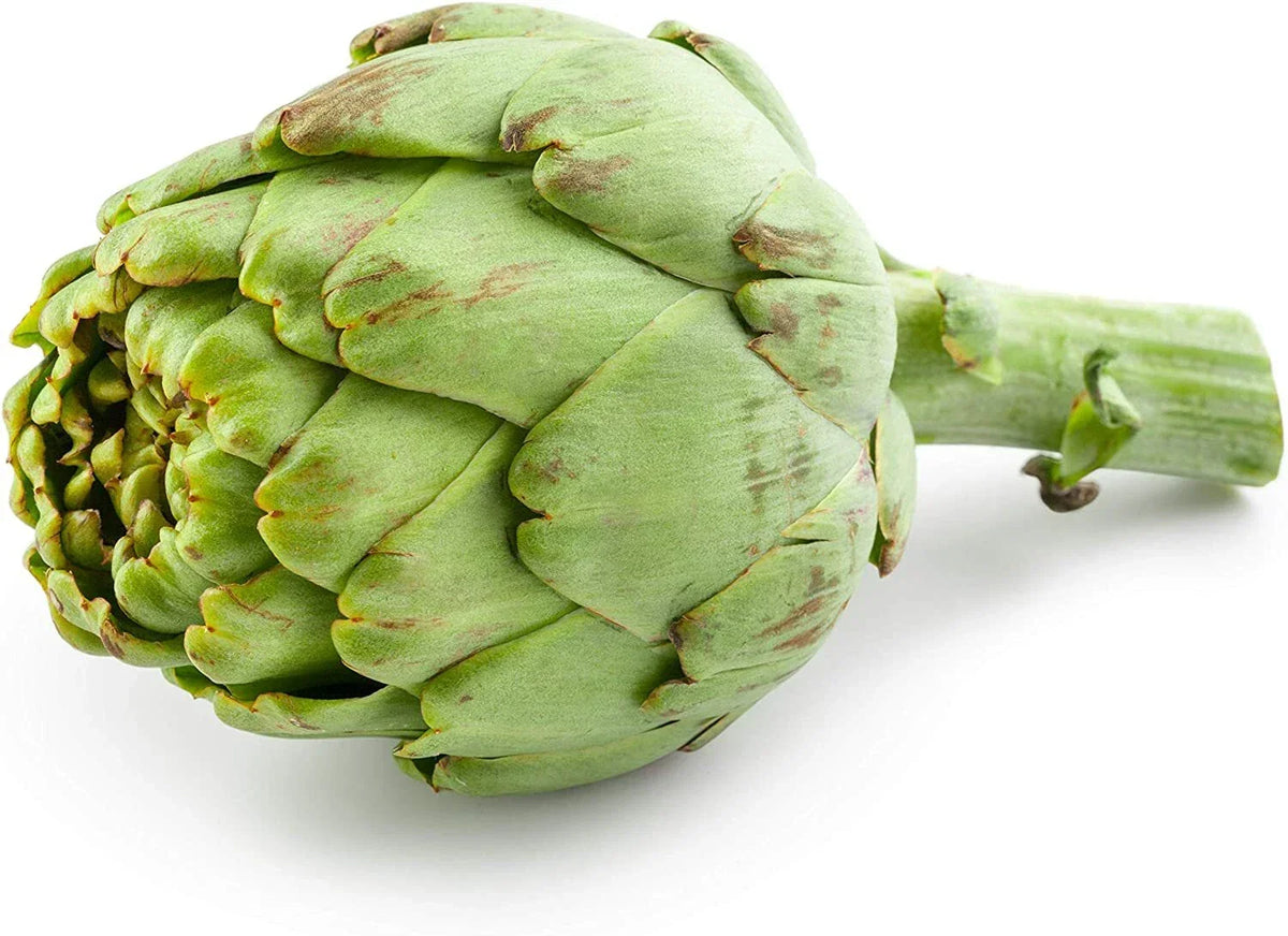 30 Globe Artichoke Seeds for Planting, Rare Heirloom Vegetable, Cynara scolymus, Exotic Garden Seeds