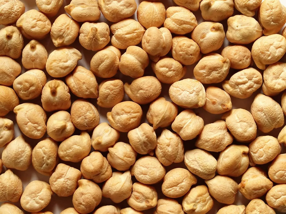 Garbanzo Bean Seeds - 200 Count - Organic Heirloom Chickpeas - Cicer arietinum - Easy to Grow for Home Gardening