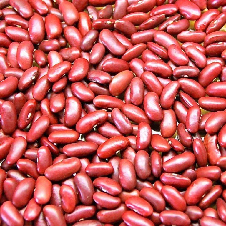 Kidney Bean Seeds Set of 100+ | Non-GMO Phaseolus vulgaris | Organic Garden Seeds for Planting, High Germination Rate