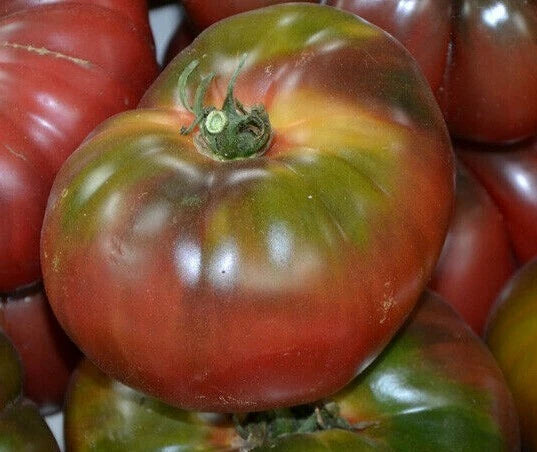 Black Krim Tomato Seeds 50+ Heirloom Indeterminate Solanum lycopersicum - Rich Flavor, Dark Purple Skin, Free Shipping