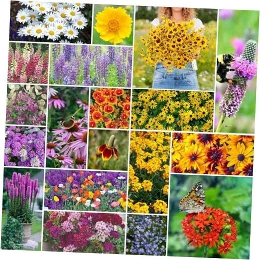 Perennial Wildflower Seeds Mix, 5 lb Bulk, Non-GMO Native Flowers, 2,400,000+ Seeds, Wildflower Blend for Planting