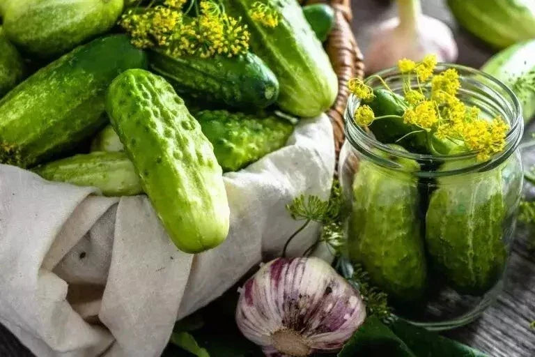 Boston Pickling Cucumber Seeds - Non-GMO Heirloom - Cucumis sativus - Perfect for Pickling and Fresh Salads - 50 Seeds