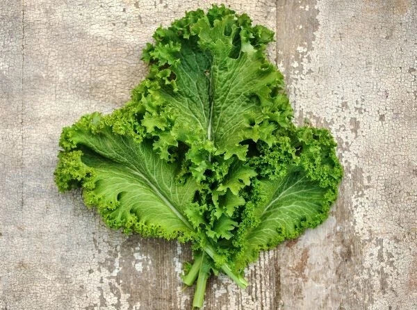 Green Wave Mustard Seeds - 150 Count - Sharp & Spicy Microgreens - Brassica juncea - Cold Hardy Culinary Variety