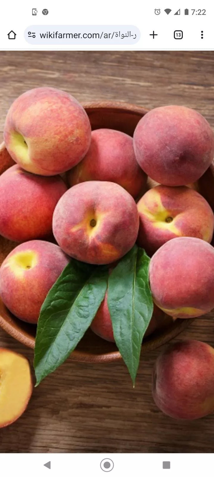 Peach Tree Seeds 4+1 Free Dwarf Loring Nemaguard Prunus persica Fast Growing Hardy Fruit