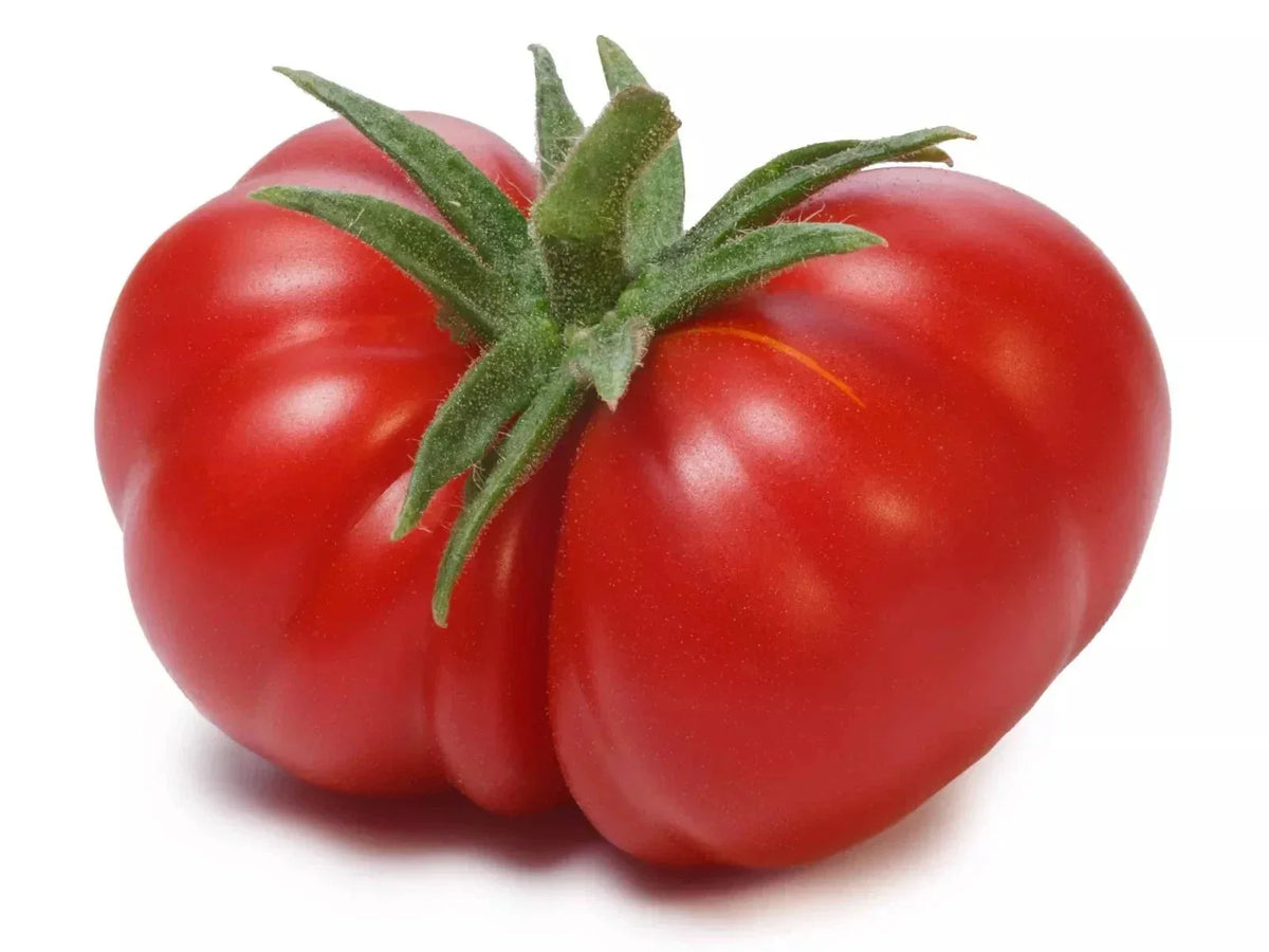 Beefsteak Tomato Seeds - 120+ Organic Non-GMO Heirloom - Solanum lycopersicum - Perfect for Home Gardening