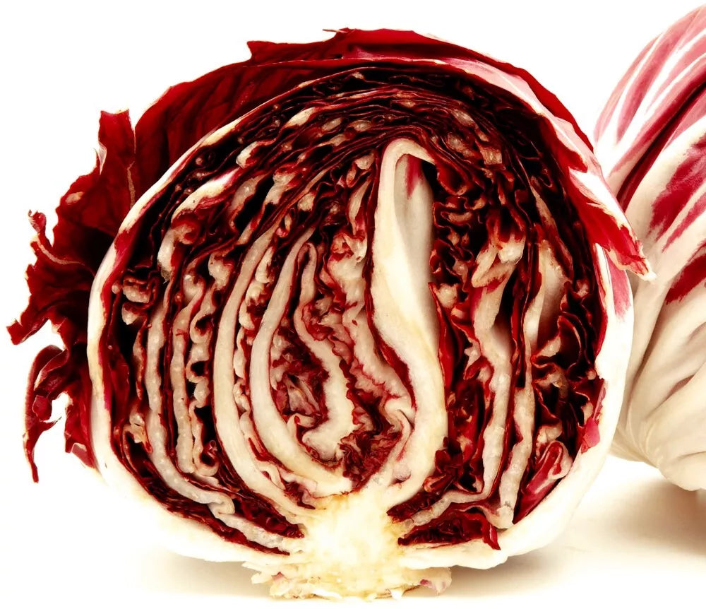 Radicchio Seeds | Heirloom Rouge de Verona | Cichorium intybus | Fresh Garden Seeds for Colorful Salads