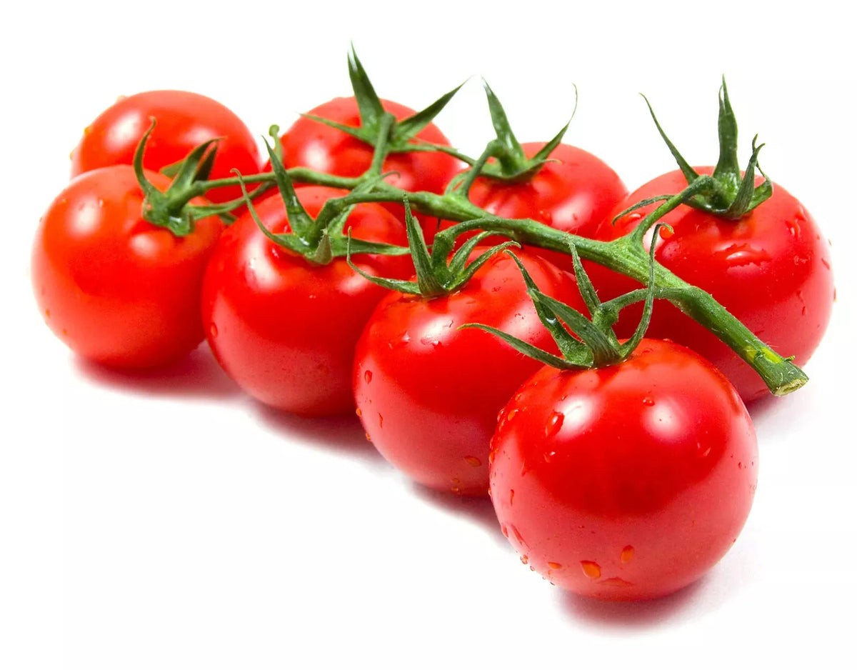 Large Cherry Tomato Seeds - Heirloom Variety - Solanum lycopersicum - High Germination, Non-GMO, Ideal for Container Gardening