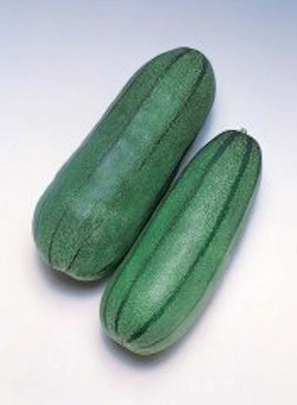 Pickling Melon Seeds - Green Striped Variety - Cucumis Melo Var Conomom - Heirloom Non-GMO Seeds for Home Gardening