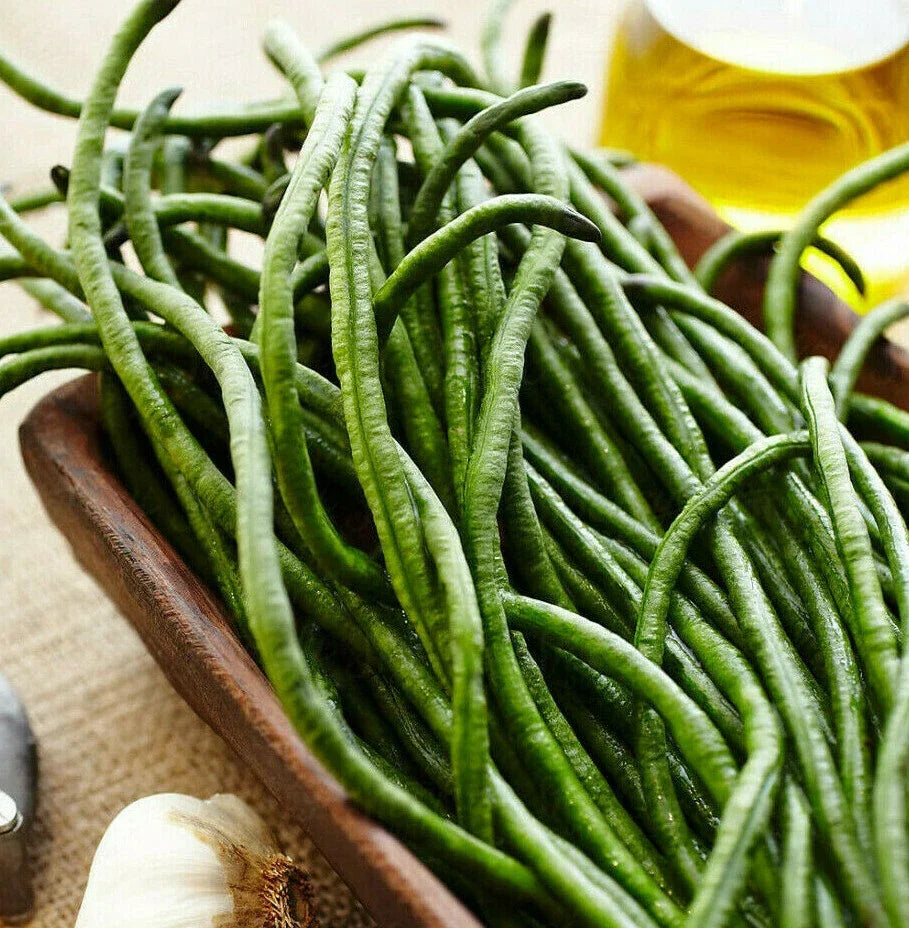 Yard Long Bean Seeds - 50 Pack - Dark Green Variety - Vigna unguiculata subsp. sesquipedalis - Non-GMO Asian Green Beans