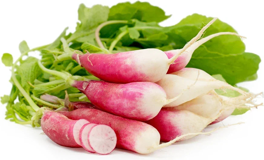 French Breakfast Radish Seeds - Organic Vegetable Seeds for Planting - Raphanus sativus - Non-GMO, Fast Germination
