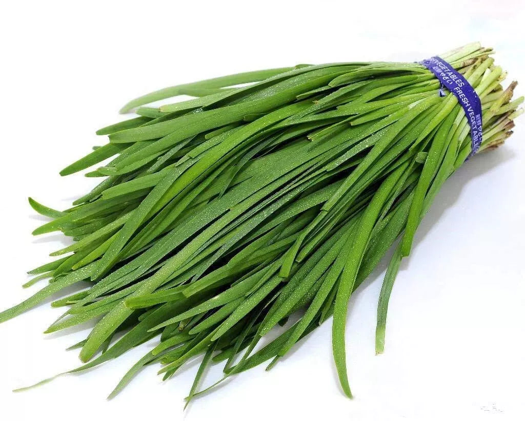 Chives Seeds 250 Count - Garlic Heirloom Variety - Allium tuberosum - Non-GMO Culinary Herb - GroCo USA