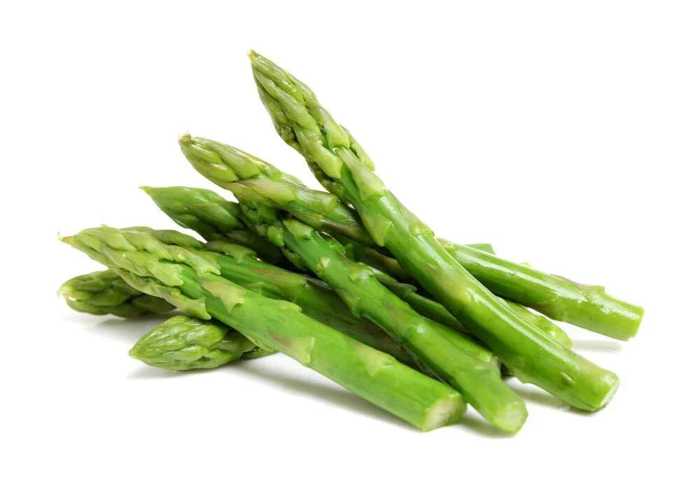 Green Asparagus Seeds | 150+ Non-GMO Seeds | Asparagus officinalis for Home Gardening