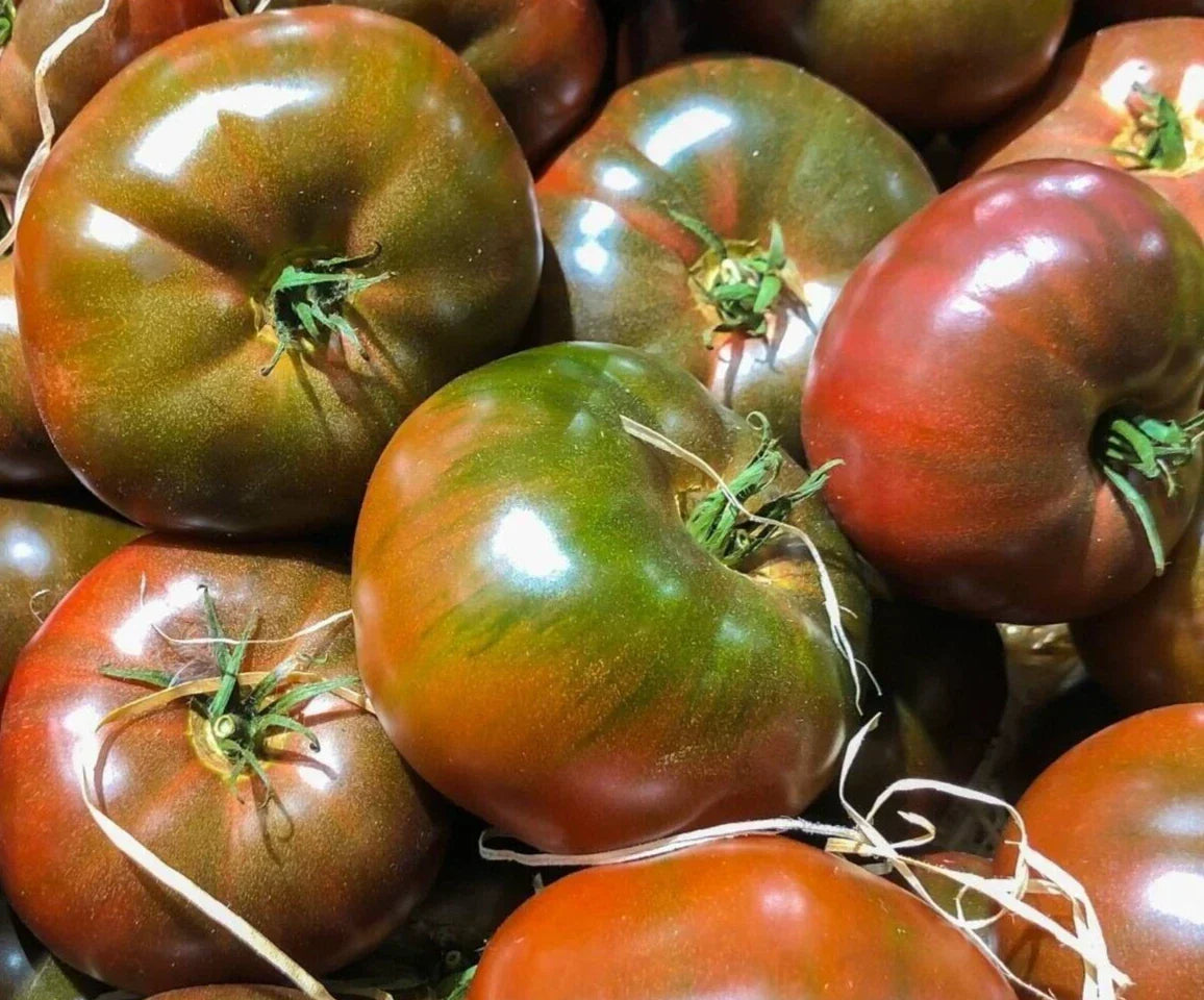 Black Krim Tomato Seeds - 100+ Heirloom Indeterminate Vegetable Seeds - Solanum lycopersicum for Home Garden