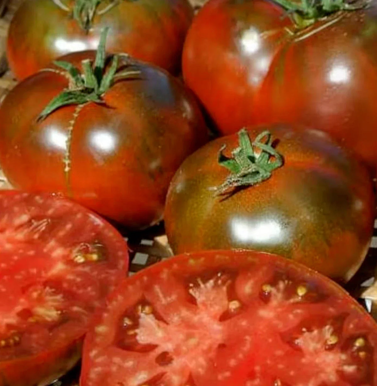 Paul Robeson Tomato Seeds - 50+ Beefsteak - Indeterminate Variety - Solanum lycopersicum - Heirloom Garden Vegetable
