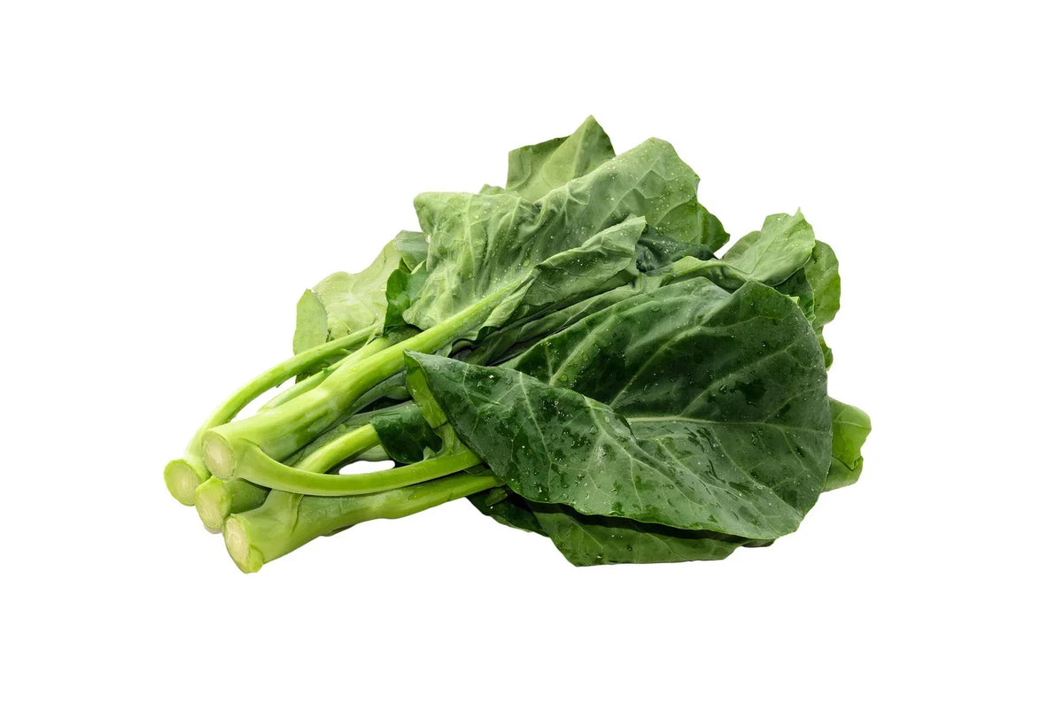 Gai Lan Seeds - Heirloom Asian Chinese Broccoli Kale - Non-GMO Brassica oleracea var. alboglabra - Vegetable Gardening Seeds