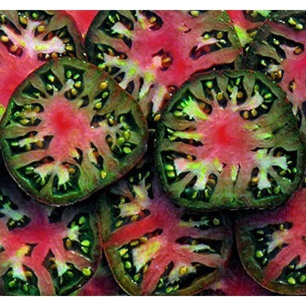 Black Sea Man Tomato Seeds - Heirloom Organic Non-GMO - Solanum lycopersicum - 25 Seeds for Home Gardening