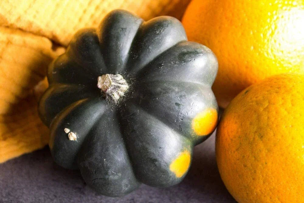 Giant Acorn Squash Seeds - 50 Pack - Nutritious Cucurbita maxima - Easy to Grow for Home Garden