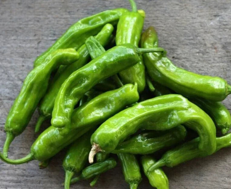 Sweet Japanese Shishito Pepper Seeds - 25 Non-GMO Heirloom Seeds - Capsicum annuum - Mild Flavor for Grilling and Roasting