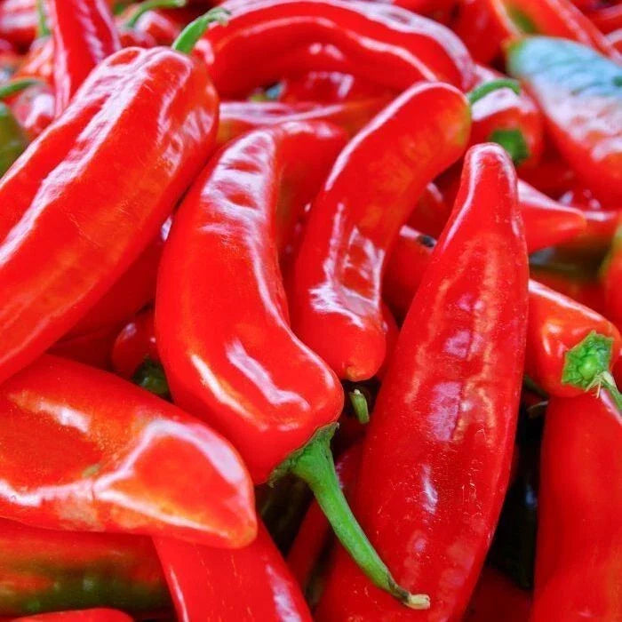 Red Marconi Sweet Pepper Seeds 50+ Non-GMO Capsicum annuum for Vegetable Garden, USA, Free Shipping