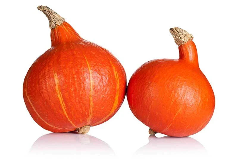 Ambercup Squash Seeds - 25 Heirloom Seeds for Garden Planting - Cucurbita maxima - Non-GMO, Sweet Orange Squash