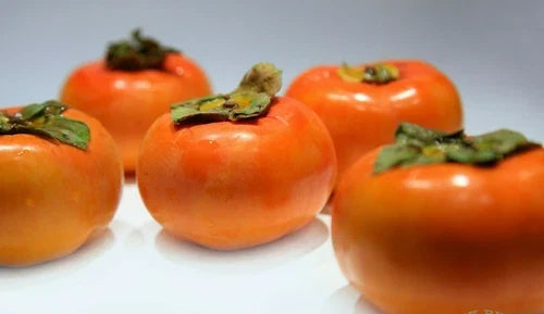 Fuyu Persimmon Tree Sapling 6"-1FT Diospyros Kaki Sweet Asian Fruit Tree Hardy Seedling for Home Garden