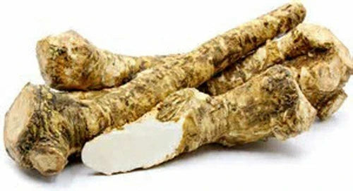 Fresh Horseradish Root 4 oz - Whole for Eating & Planting - Armoracia rusticana - Locally Sourced Illinois
