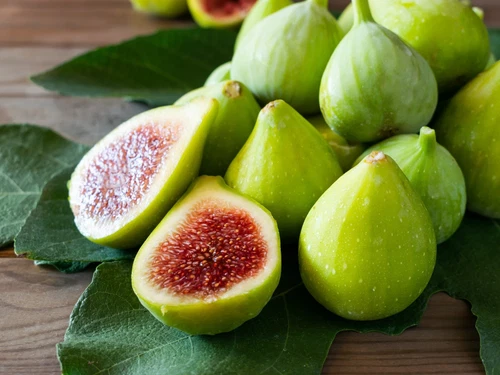 Green Ischia Fig Tree Cuttings - 2 Unrooted Ficus Carica Cuttings with Willow Water - Ideal for Propagation and Gardening