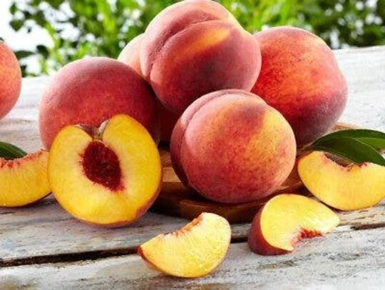 Nemaguard Peach Tree Cuttings - 10 Unrooted Fresh Cuttings, Prunus persica Rootstock, 6–8 Inches Long for Propagation