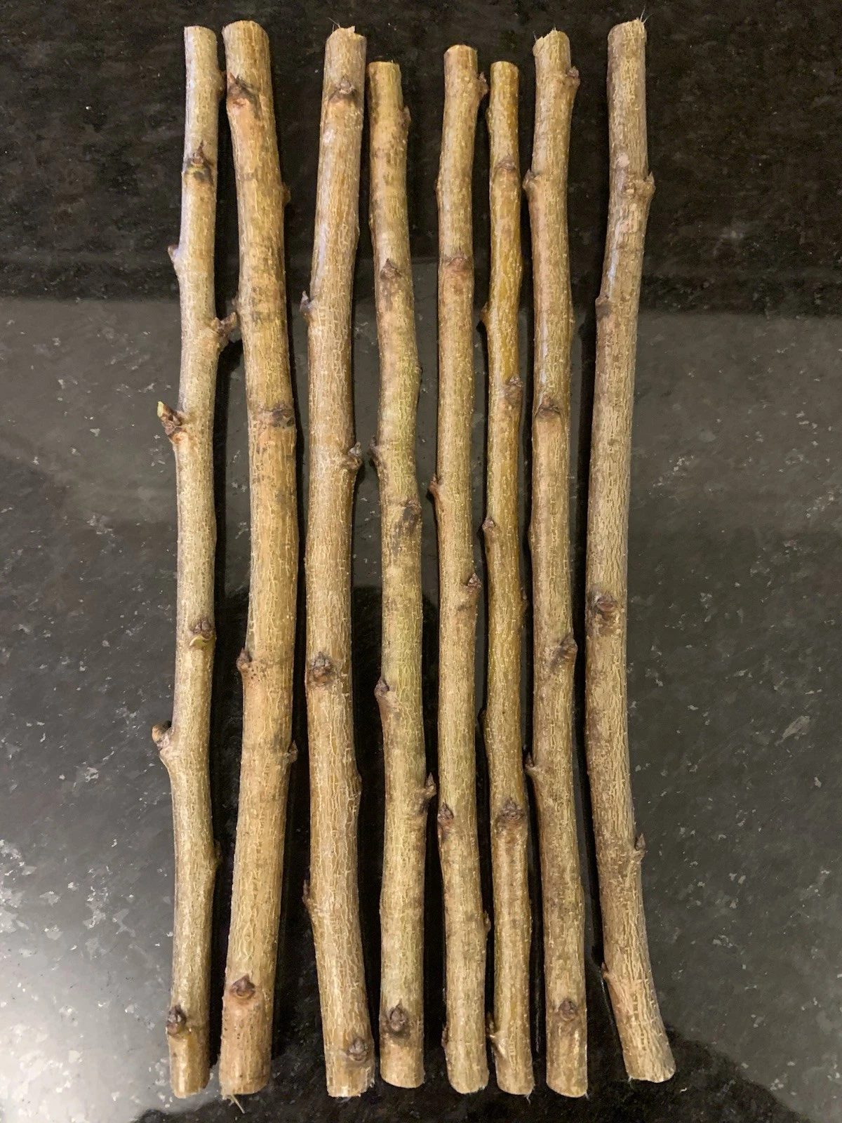 3 Unrooted Methley Plum Cuttings for Grafting - Prunus Salicina - Ideal for Fruit Tree Propagation and Home Orchards
