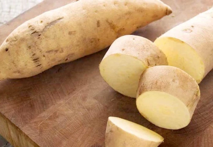 White Sweet Potato Slips, 10 Live Cuttings for Planting, Ipomoea Batatas, Garden Vegetable Plants