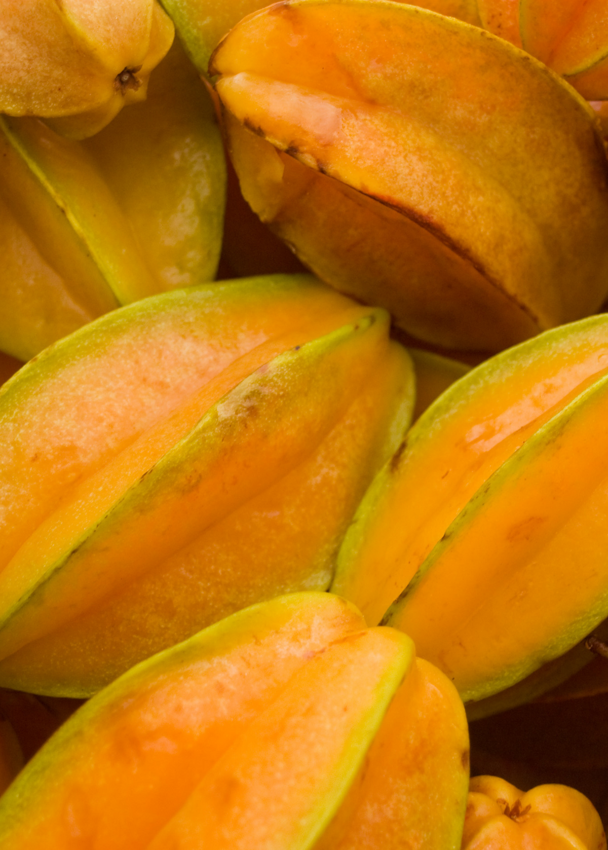 Star Fruit 'Lara' (Averrhoa carambola)