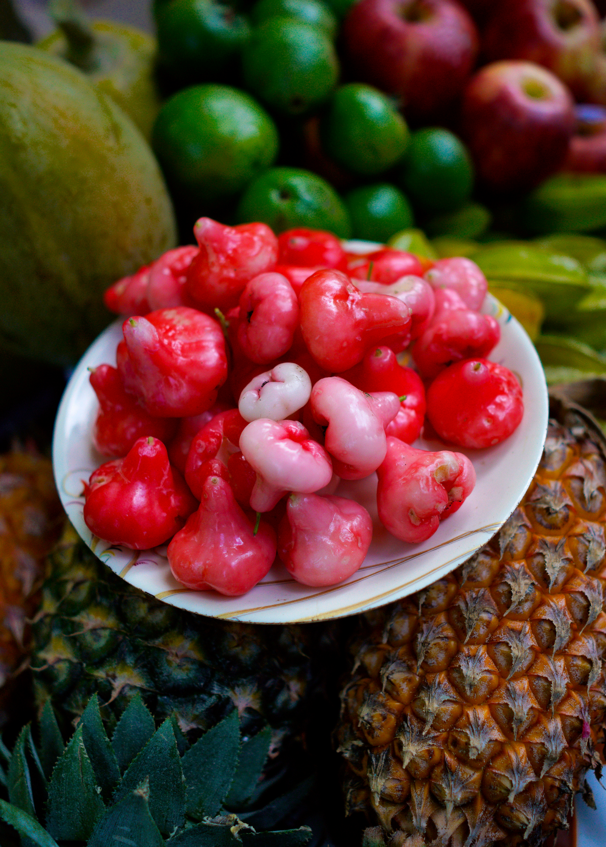 Wax Jambu, Red (Syzygium samarangense)